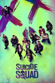 Suicide Squad (2016) Dual Audio [Hindi ORG & ENG] EXTENDED BluRay 480p, 720p & 1080p | GDRive