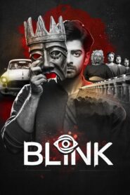 Blink (2024) Dual Audio [Hindi ORG & Kannada] WEB-DL 480p, 720p & 1080p