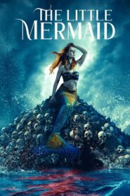 The Little Mermaid (2023) Hindi Dubbed (ORG) & English [Dual Audio] WEB-DL 1080p 720p 480p HD [Full Movie]