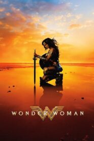 Wonder Woman (2017) Dual Audio [Hindi ORG & ENG] BluRay 480p, 720p, 1080p & 4K UHD 2160p | GDrive