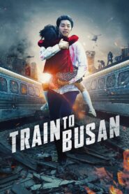 Train to Busan (2016) Dual Audio [Hindi ORG & Korean] BluRay & [Korean] HDRip 480p, 720p & 1080p | GDrive | BSub