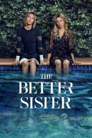 The Better Sister : Season 1 Dual Audio [Hindi ORG & ENG] WEB-DL 720p HEVC | [Complete]