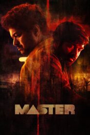 Master (2021) Dual Audio [Hindi ORG & Tamil] WEB-DL 480p, 720p & 1080p