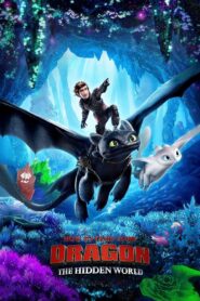 How to Train Your Dragon 3 : The Hidden World (2019) Dual Audio [Hindi ORG & ENG] BluRay 480p, 720p & 1080p