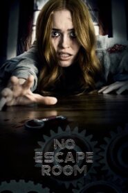 No Escape Room (2018) Dual Audio [Hindi ORG & ENG] WEB-DL 480p, 720p & 1080p | GDRive