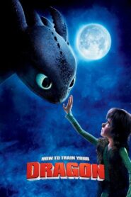 How to Train Your Dragon (2010) Dual Audio [Hindi ORG & ENG] BluRay 480p, 720p & 1080p