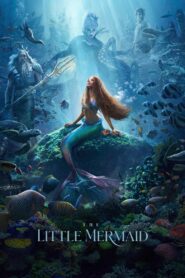 The Little Mermaid (2023) [Hindi Dubbed (ORG DD 5.1) & English] [Dual Audio] WEB-DL 2160p 1080p 720p 480p HD [Full Movie]