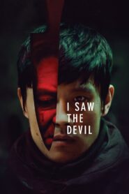 I Saw the Devil (2010) Dual Audio [Hindi ORG & Korean] BluRay 480p, 720p & 1080p