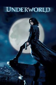 1.Underworld (2003) Dual Audio [Hindi ORG & ENG] BluRay 480p, 720p & 1080p | GDRive