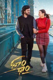 Dhoom Dhaam (2024) Dual Audio [Hindi ORG & Telugu] WEB-DL 480p, 720p & 1080p