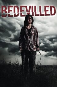 Bedevilled (2010) Dual Audio [Hindi ORG & Korean] BluRay 480p, 720p & 1080p