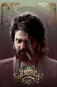 Swag (2024) Dual Audio [Hindi ORG & Telugu] WEB-DL 480p, 720p & 1080p