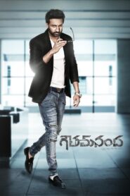 Goutham Nanda (2017) Dual Audio [Hindi ORG & Telugu] WEB-DL 480p, 720p & 1080p