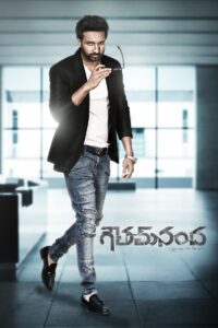 Goutham Nanda (2017) Dual Audio [Hindi ORG & Telugu] WEB-DL 480p, 720p & 1080p