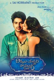 Dikkulu Choodaku Ramayya (2014) Dual Audio [Hindi ORG & Telugu] WEB-DL 480p, 720p & 1080p |