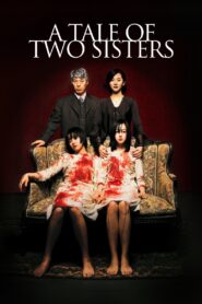 A Tale of Two Sisters (2003) Dual Audio [Hindi ORG & Korean] BluRay 480p, 720p & 1080p