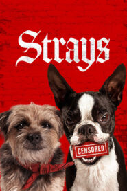 Strays (2023) Dual Audio [Hindi ORG & ENG] WEB-DL 480p, 720p & 1080p |
