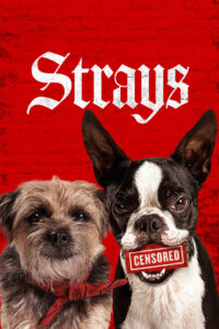 Strays (2023) Dual Audio [Hindi ORG & ENG] WEB-DL 480p, 720p & 1080p |