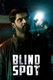Blind Spot 2025 Full Movie Download