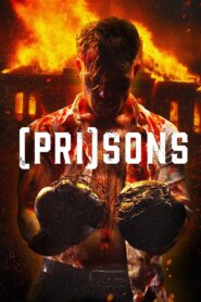 (Pri)sons (2024) Dual Audio [Hindi ORG & ENG] WEB-DL 480p, 720p & 1080p