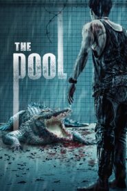 The Pool (2018) Dual Audio [Hindi ORG & Thai] BluRay 480p, 720p & 1080p